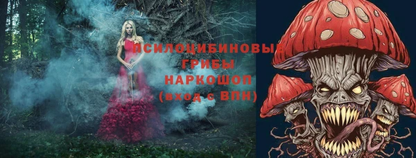 спиды Абаза